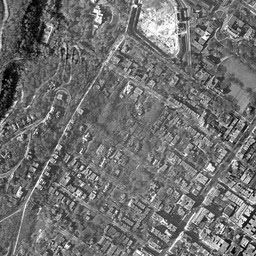 beautiful b&w airplane view